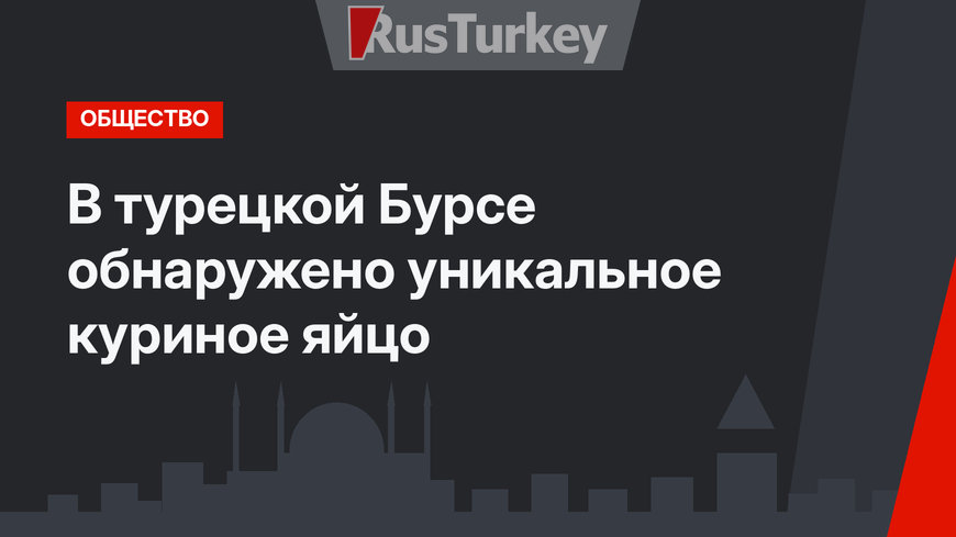 В турецкой Бурсе обнаружено уникальное куриное яйцо