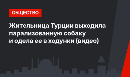 Жительница Турции выходила парализованную собаку и одела ее в ходунки (видео)