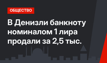 В Денизли банкноту номиналом 1 лира продали за 2,5 тыс.
