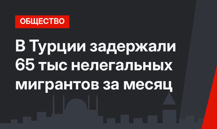 В Турции задержали 65 тыс нелегальных мигрантов за месяц