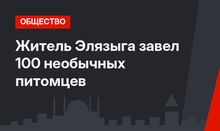 Житель Элязыга завел 100 необычных питомцев