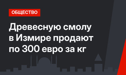 Древесную смолу в Измире продают по 300 евро за кг