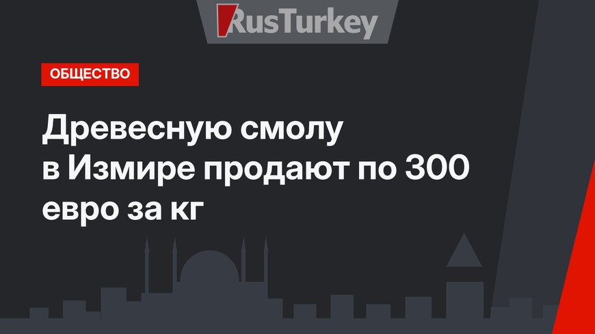 Древесную смолу в Измире продают по 300 евро за кг