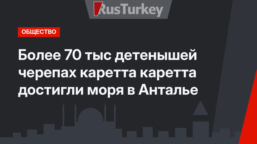 Более 70 тыс детенышей черепах каретта каретта достигли моря в Анталье