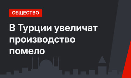 В Турции увеличат производство помело