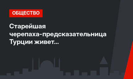 Старейшая черепаха-предсказательница Турции живет в стамбульском зоопарке (видео)