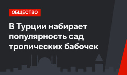В Турции набирает популярность сад тропических бабочек