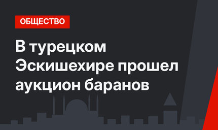 В турецком Эскишехире прошел аукцион баранов