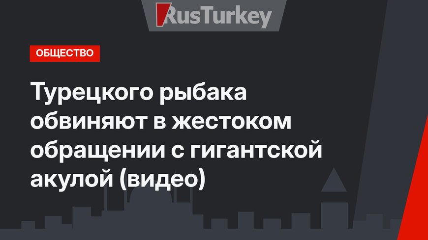 Турецкого рыбака обвиняют в жестоком обращении с гигантской акулой (видео)