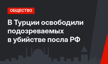 В Турции освободили подозреваемых в убийстве посла РФ 