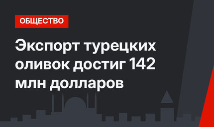 Экспорт турецких оливок достиг 142 млн долларов
