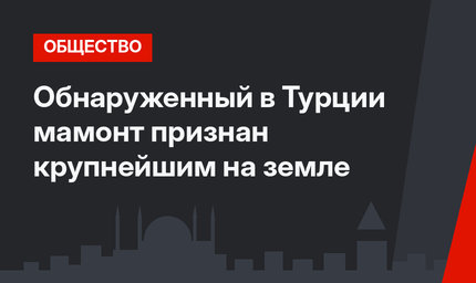 Обнаруженный в Турции мамонт признан крупнейшим на земле