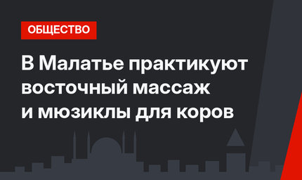 В Малатье практикуют восточный массаж и мюзиклы для коров