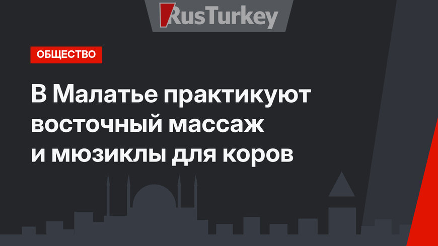 В Малатье практикуют восточный массаж и мюзиклы для коров