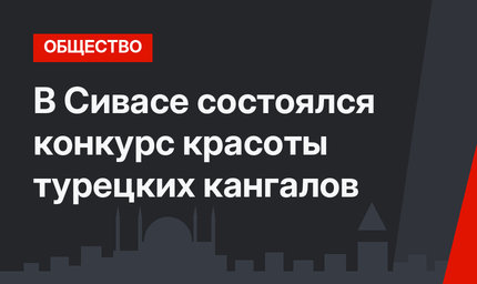 В Сивасе состоялся конкурс красоты турецких кангалов