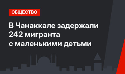 В Чанаккале задержали 242 мигранта с маленькими детьми