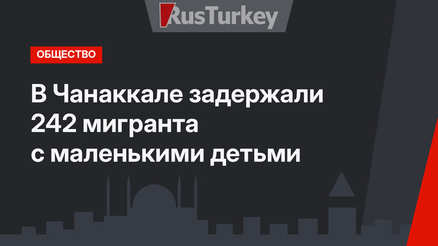 В Чанаккале задержали 242 мигранта с маленькими детьми