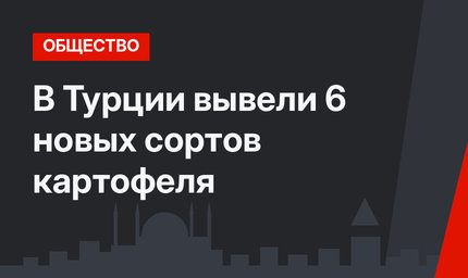 В Турции вывели 6 новых сортов картофеля