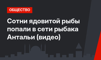 Сотни ядовитой рыбы попали в сети рыбака Антальи (видео)