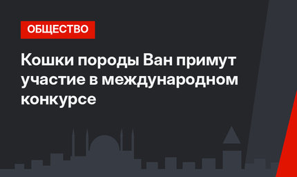 Кошки породы Ван примут участие в международном конкурсе