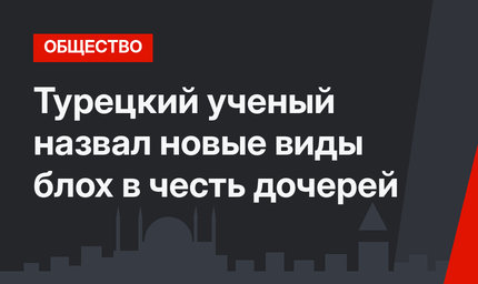 Турецкий ученый назвал новые виды блох в честь дочерей