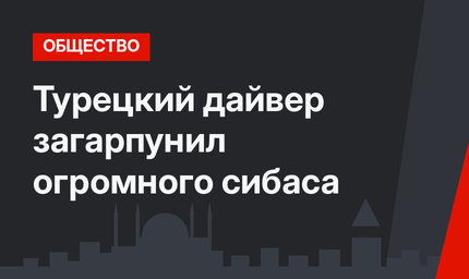 Турецкий дайвер загарпунил огромного сибаса