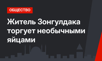 Житель Зонгулдака торгует необычными яйцами