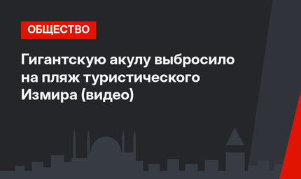 Гигантскую акулу выбросило на пляж туристического Измира (видео)