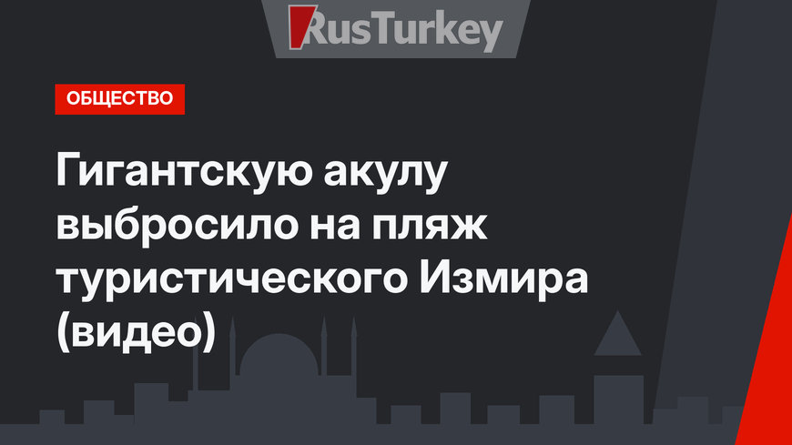 Гигантскую акулу выбросило на пляж туристического Измира (видео)