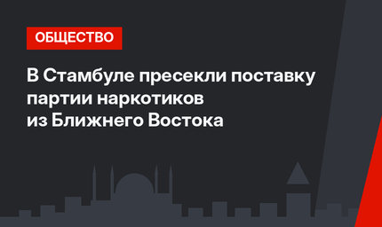 В Стамбуле пресекли поставку партии наркотиков из Ближнего Востока
