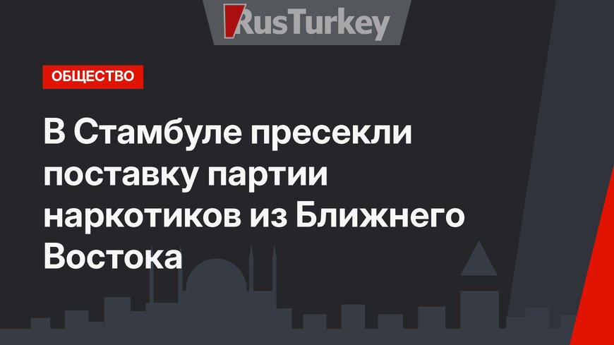 В Стамбуле пресекли поставку партии наркотиков из Ближнего Востока
