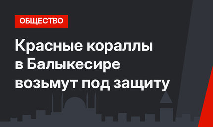 Красные кораллы в Балыкесире возьмут под защиту