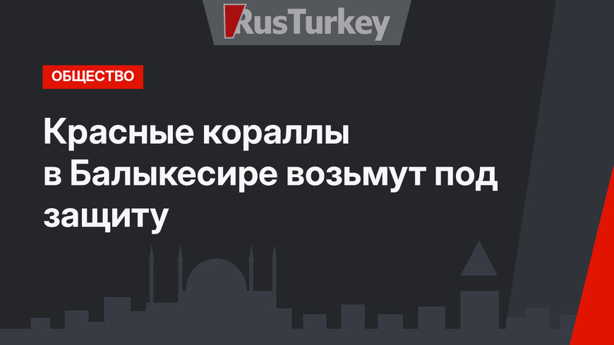 Красные кораллы в Балыкесире возьмут под защиту