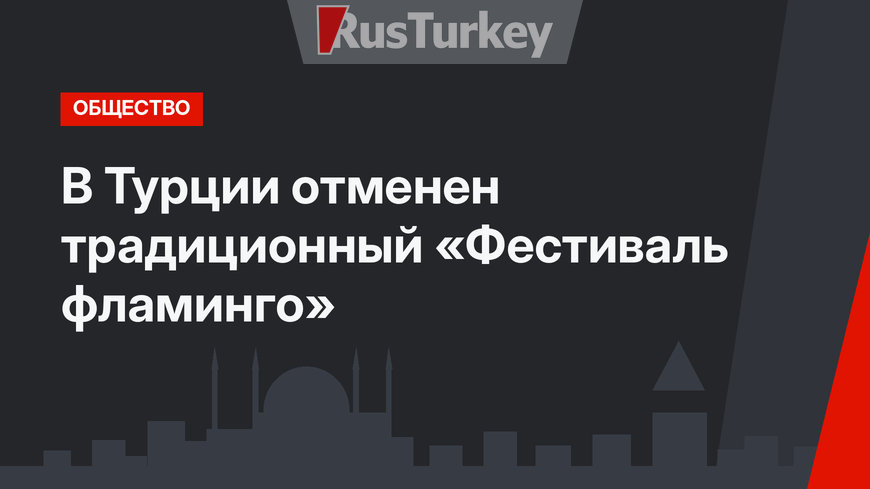 В Турции отменен традиционный «Фестиваль фламинго»