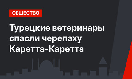 Турецкие ветеринары спасли черепаху Каретта-Каретта