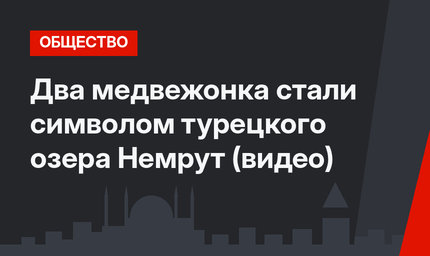 Два медвежонка стали символом турецкого озера Немрут (видео)