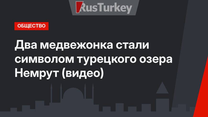 Два медвежонка стали символом турецкого озера Немрут (видео)