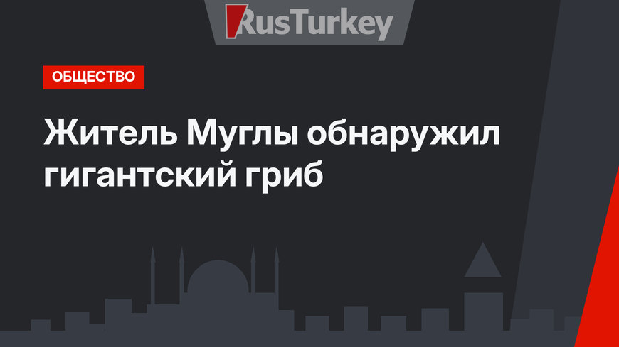 Житель Муглы обнаружил гигантский гриб