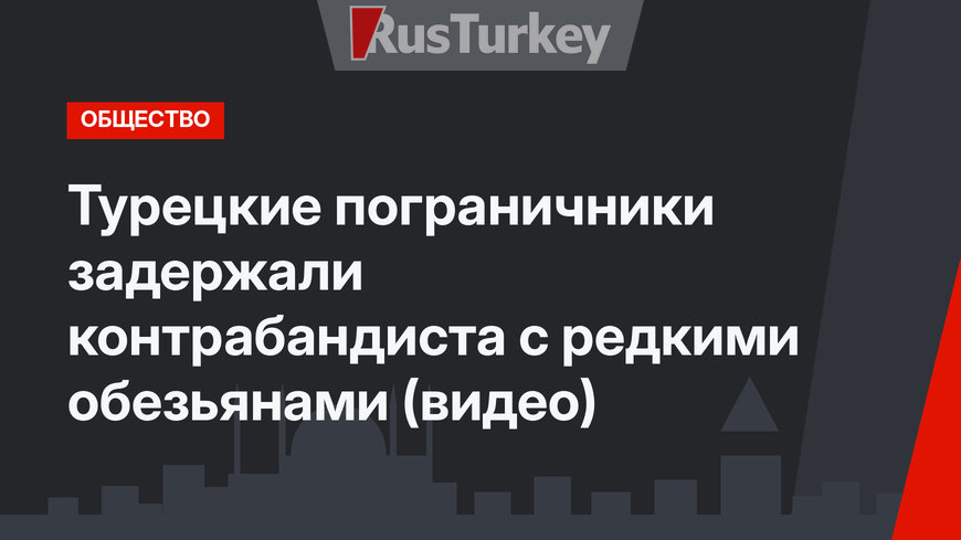 Турецкие пограничники задержали контрабандиста с редкими обезьянами (видео)