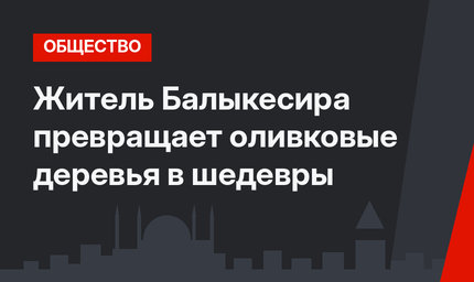 Житель Балыкесира превращает оливковые деревья в шедевры