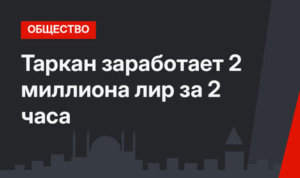 Таркан заработает 2 миллиона лир за 2 часа