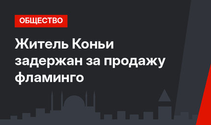 Житель Коньи задержан за продажу фламинго