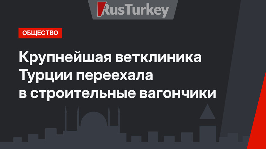 Крупнейшая ветклиника Турции переехала в строительные вагончики