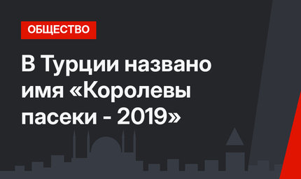 В Турции названо имя «Королевы пасеки - 2019»