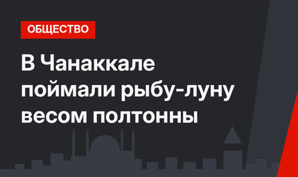 В Чанаккале поймали рыбу-луну весом полтонны