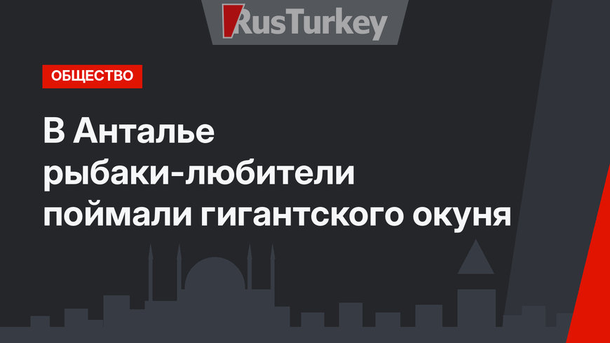 В Анталье рыбаки-любители поймали гигантского окуня