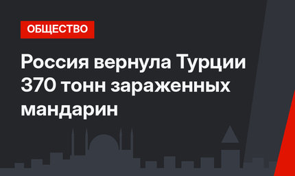 Россия вернула Турции 370 тонн зараженных мандарин