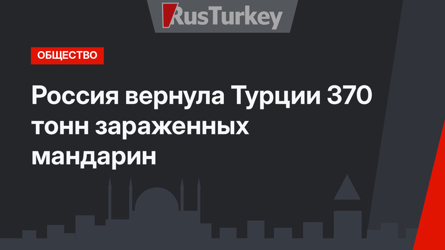 Россия вернула Турции 370 тонн зараженных мандарин