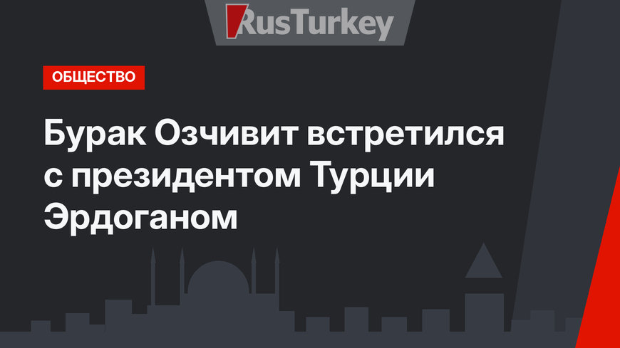 Бурак Озчивит встретился с президентом Турции Эрдоганом