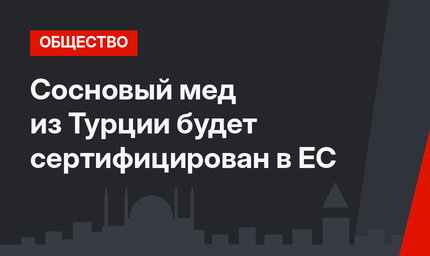 Сосновый мед из Турции будет сертифицирован в ЕС